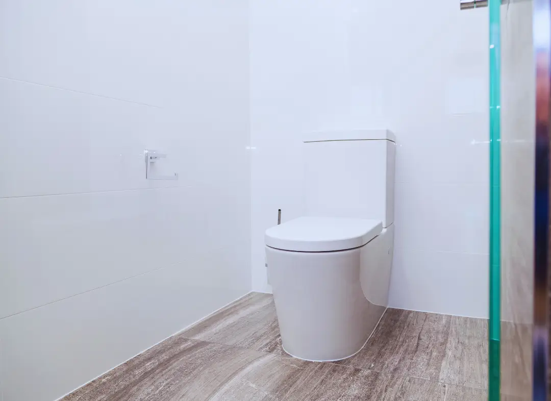 Remplacement de wc Roques